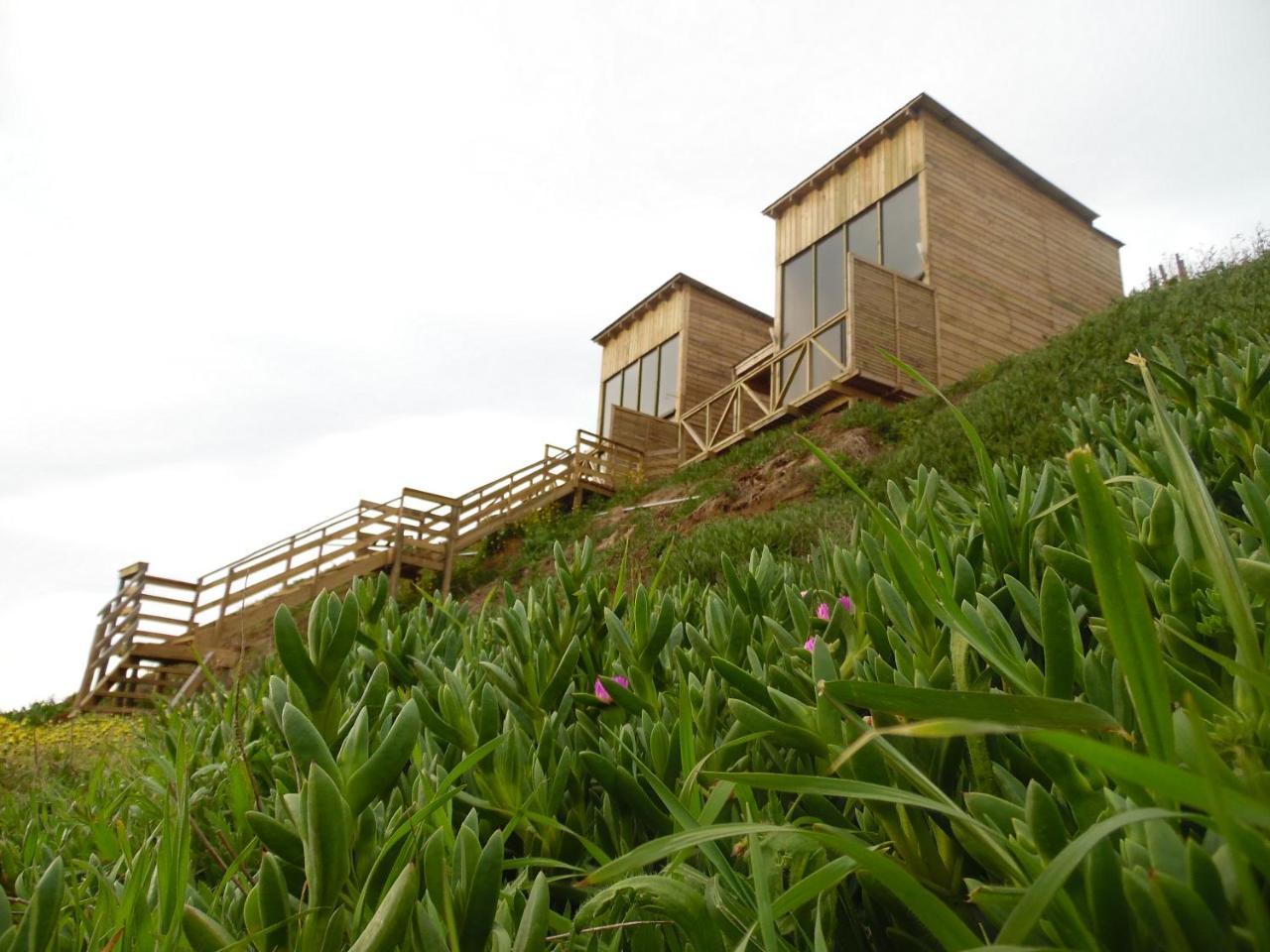 Playa Del Pangal Villa Pichilemu Kültér fotó